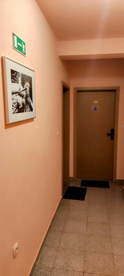 Villa Dm Baška Voda Zewnętrze zdjęcie